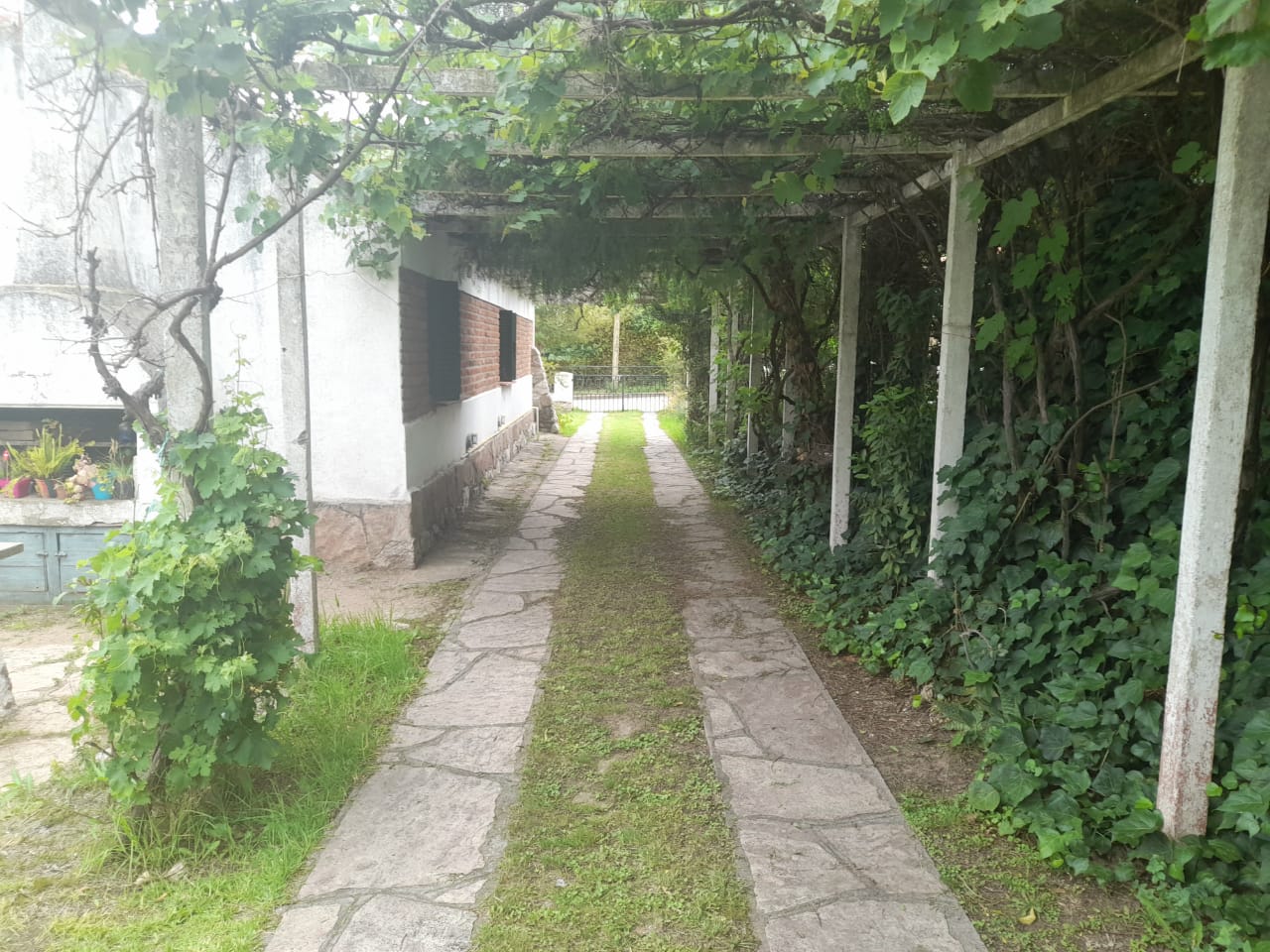 a6982